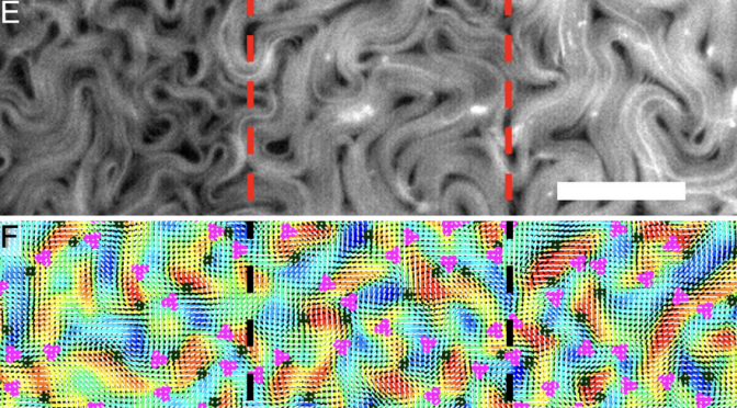 Submersed micropatterned structures control active nematic flow